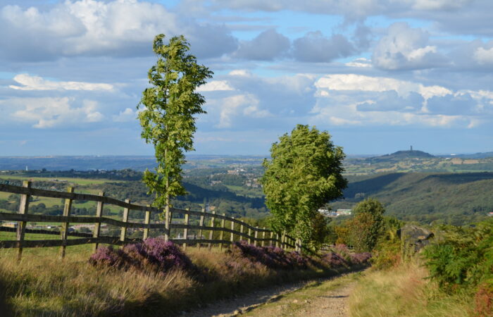 Castle-Hill-from-Meltham-Peak-District-border-e1418524440551 Solos and Singles Guided walking in Hebden Bridge