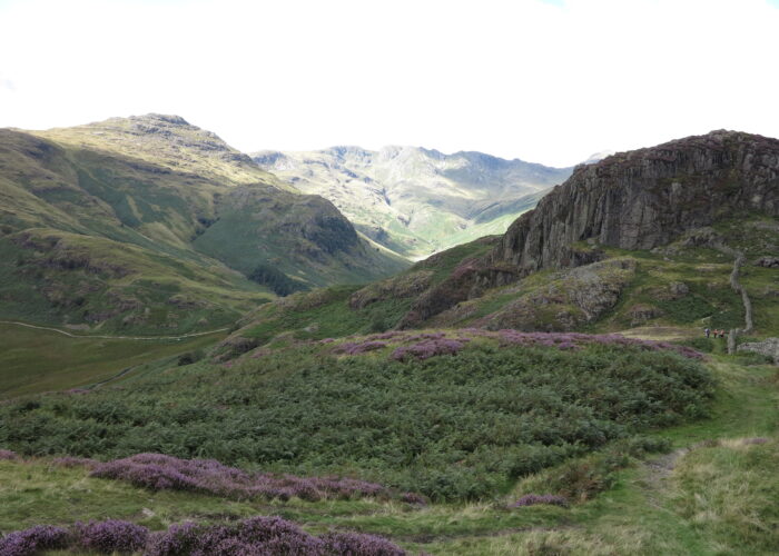 Solos and Singles guided walking in the Southern Lakes