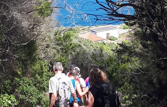 Lovely path in La Palma Solo and Singles Guided walking in La Palma