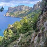 Path to the sea Guided walking for sole travellers in Mallorca