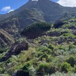 Distance Hills Tenerife Guided walking for sole travellers in Tenerife