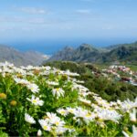Anaga-Rural-Park-Anaga-Massif Guided Walking for Sole Travellers in Tenerife
