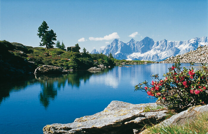 What a wonderful lake scene in Austria Solos and Singles Guided walking in Austria
