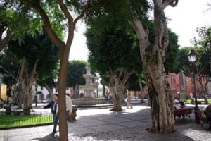 Guided Walking for Sole Travellers in Tenerife