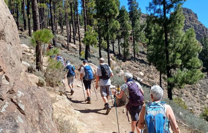 Trek through the forest Guided walking holiday in Gran Canaria for solos