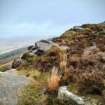 567644459_1385429110253679_4504383962146796099_n Guided walking for sole travellers in Northumberland