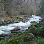 Lower East Lynn river Sole Traveller guided walking in Exmoor
