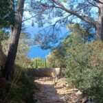 Quiet corner Guided walking for solo travellers in Mallorca