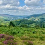 Over Grabbists Hill Sole Traveller guided walking in Exmoor