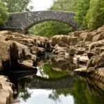 river elan